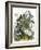 The Butterfly Vivarium-English-Framed Giclee Print