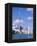 The C.N.Tower and the Toronto Skyline, Ontario, Canada-Roy Rainford-Framed Premier Image Canvas