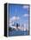 The C.N.Tower and the Toronto Skyline, Ontario, Canada-Roy Rainford-Framed Premier Image Canvas