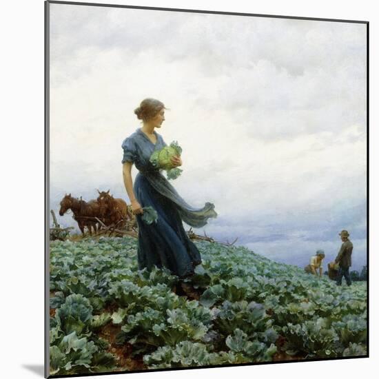 The Cabbage Field. 1914-Charles Courtney Curran-Mounted Giclee Print