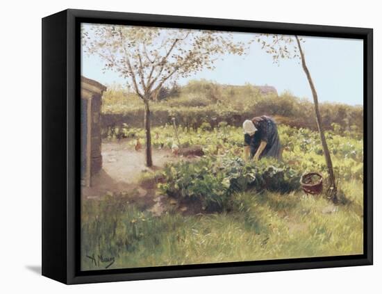 The Cabbage Patch-Anton Mauve-Framed Premier Image Canvas