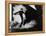 The Cabinet of Dr. Caligari, 1920-null-Framed Premier Image Canvas