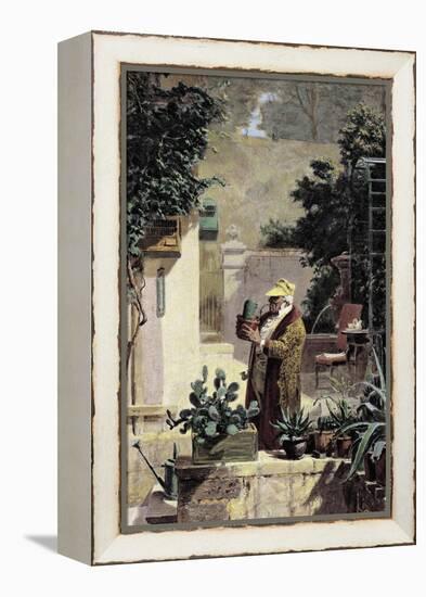 The Cactus Lover, before 1858-Carl Spitzweg-Framed Premier Image Canvas