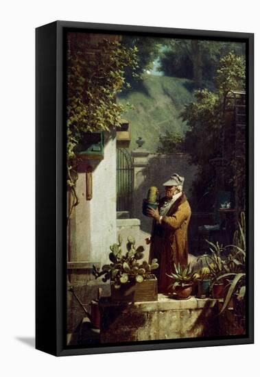 The Cactus Lover. before 1858-Carl Spitzweg-Framed Premier Image Canvas