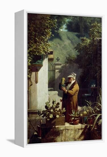 The Cactus Lover. before 1858-Carl Spitzweg-Framed Premier Image Canvas