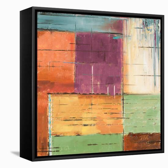 The Cage II-Patricia Pinto-Framed Stretched Canvas