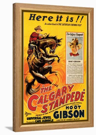 The Calgary Stampede-null-Framed Stretched Canvas