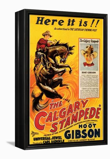The Calgary Stampede-null-Framed Stretched Canvas