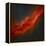 The California Nebula-Stocktrek Images-Framed Premier Image Canvas