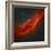 The California Nebula-Stocktrek Images-Framed Photographic Print