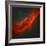 The California Nebula-Stocktrek Images-Framed Photographic Print