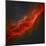 The California Nebula-Stocktrek Images-Mounted Photographic Print