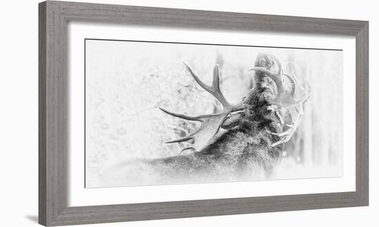 The Call-Wink Gaines-Framed Giclee Print