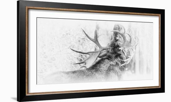 The Call-Wink Gaines-Framed Giclee Print