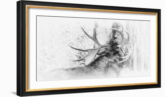 The Call-Wink Gaines-Framed Giclee Print