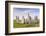 The Callanish Stones on the Isle of Lewis, Outer Hebrides, Scotland, United Kingdom, Europe-Julian Elliott-Framed Photographic Print