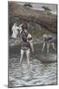 The Calling of Peter and Andrew-James Tissot-Mounted Giclee Print