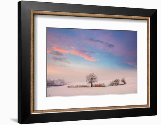 The Calm-Philippe Sainte-Laudy-Framed Photographic Print