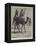 The Camel Corps of the Egyptian Army-Richard Caton Woodville II-Framed Premier Image Canvas