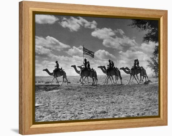 The Camel Corps of the King's African Rifles, October 1945-null-Framed Premier Image Canvas