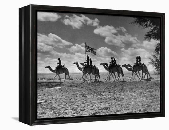 The Camel Corps of the King's African Rifles, October 1945-null-Framed Premier Image Canvas