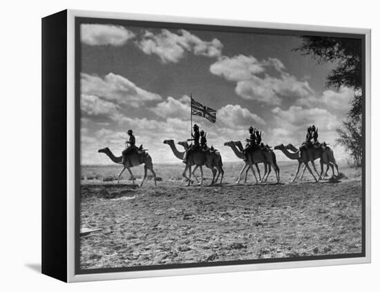 The Camel Corps of the King's African Rifles, October 1945-null-Framed Premier Image Canvas