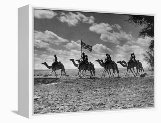 The Camel Corps of the King's African Rifles, October 1945-null-Framed Premier Image Canvas