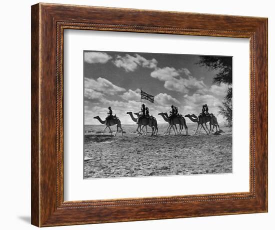 The Camel Corps of the King's African Rifles, October 1945-null-Framed Photographic Print