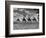 The Camel Corps of the King's African Rifles, October 1945-null-Framed Photographic Print