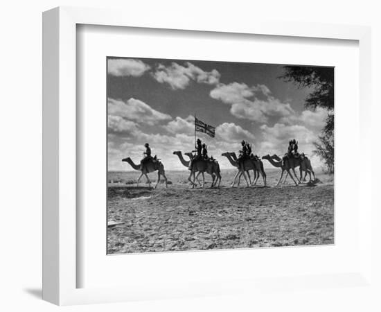 The Camel Corps of the King's African Rifles, October 1945-null-Framed Photographic Print