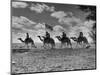 The Camel Corps of the King's African Rifles, October 1945-null-Mounted Photographic Print