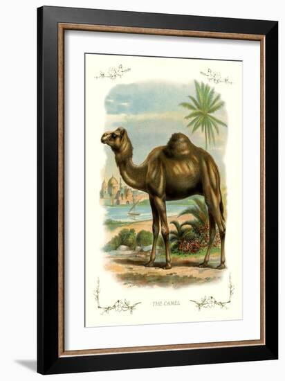 The Camel-null-Framed Art Print