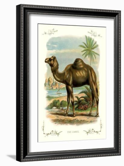 The Camel-null-Framed Art Print