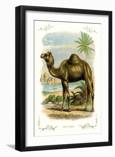 The Camel-null-Framed Art Print