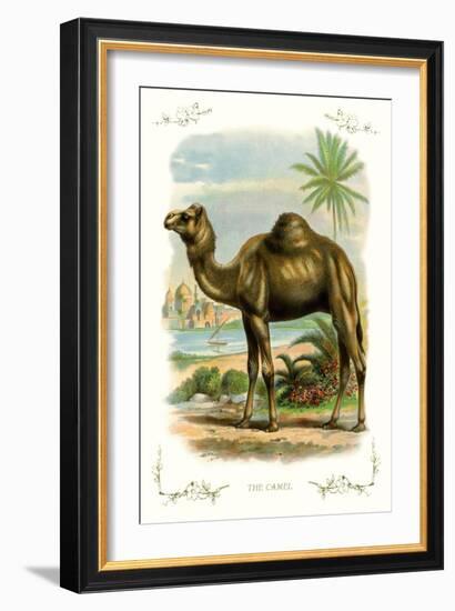 The Camel-null-Framed Art Print