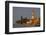 The Campanile Di Mazzorbo at Sunset on Isola Mazzorbo, Vencie, Veneto, Italy.-Cahir Davitt-Framed Photographic Print