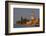 The Campanile Di Mazzorbo at Sunset on Isola Mazzorbo, Vencie, Veneto, Italy.-Cahir Davitt-Framed Photographic Print