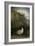 The Canadian Goose-Jai Johnson-Framed Giclee Print