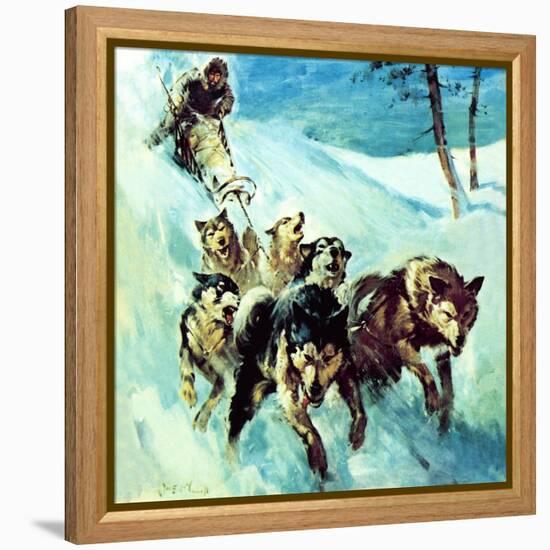 The Canadian Husky-McConnell-Framed Premier Image Canvas