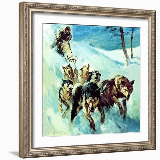 The Canadian Husky-McConnell-Framed Giclee Print