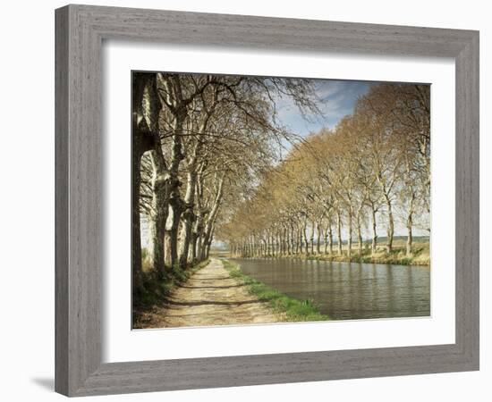 The Canal Du Midi, Near Capestang, Languedoc Roussillon, France-Michael Busselle-Framed Photographic Print