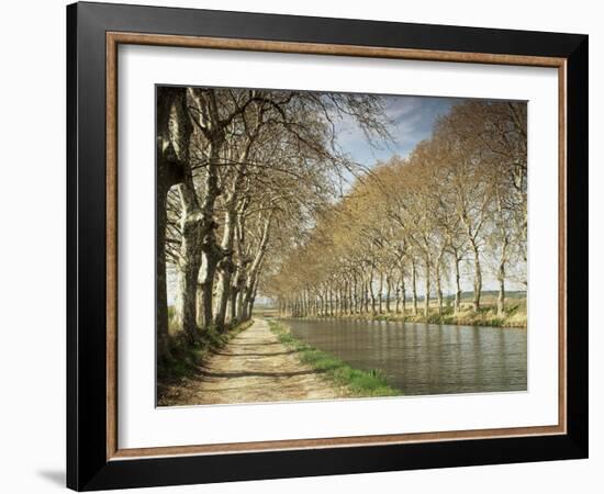 The Canal Du Midi, Near Capestang, Languedoc Roussillon, France-Michael Busselle-Framed Photographic Print