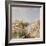 The Canal Tolentini-Franz Xaver Thallmaier-Framed Giclee Print