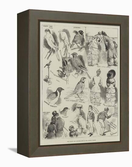 The Canary and Cage-Bird Show at the Crystal Palace-Alfred Courbould-Framed Premier Image Canvas