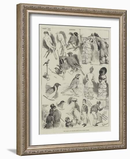 The Canary and Cage-Bird Show at the Crystal Palace-Alfred Courbould-Framed Giclee Print