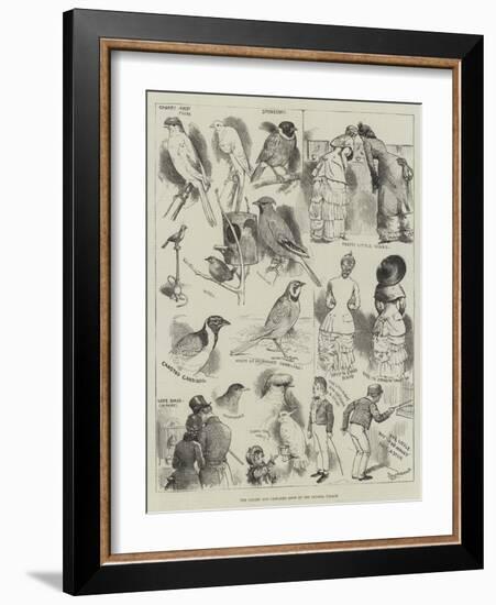 The Canary and Cage-Bird Show at the Crystal Palace-Alfred Courbould-Framed Giclee Print