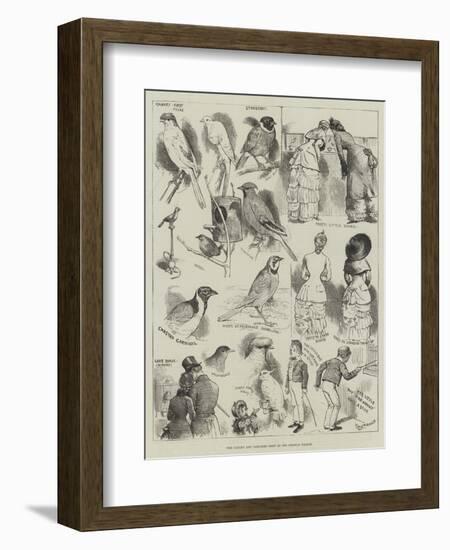 The Canary and Cage-Bird Show at the Crystal Palace-Alfred Courbould-Framed Giclee Print