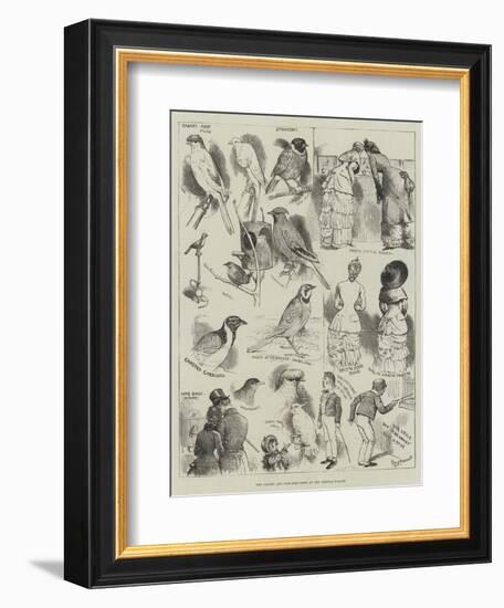 The Canary and Cage-Bird Show at the Crystal Palace-Alfred Courbould-Framed Giclee Print