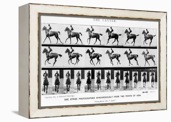 The Canter: One Stride Photographer Synchronously from Two Points of View, 1887, Illustration…-Eadweard Muybridge-Framed Premier Image Canvas