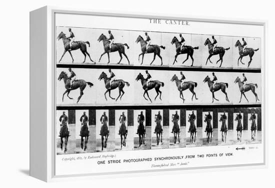 The Canter: One Stride Photographer Synchronously from Two Points of View, 1887, Illustration…-Eadweard Muybridge-Framed Premier Image Canvas